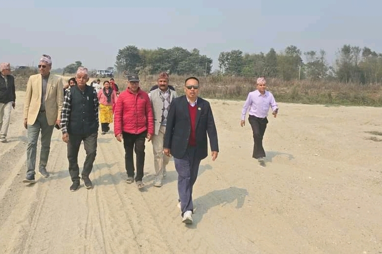 biringnadipul
